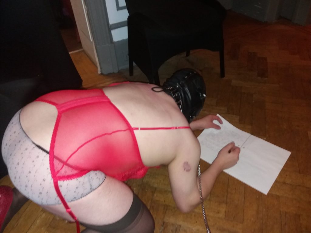 mistress-vixen-slave-training